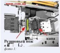 Прикрепленное изображение: kapa.JPG