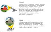 Прикрепленное изображение: image.jpg