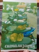 Прикрепленное изображение: i8IAdRSi9Pc.jpg