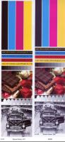 Прикрепленное изображение: L355 vs L4150. Epson Glossy.jpg