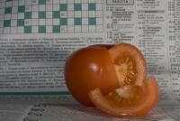 Прикрепленное изображение: Tomato_orig_site.jpg
