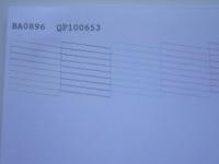 Прикрепленное изображение: IMGP1251.JPG