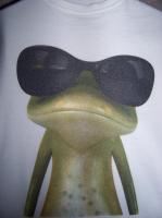 Прикрепленное изображение: frog.jpg