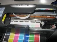 Прикрепленное изображение: IMG_7364.JPG