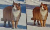 Прикрепленное изображение: 20140307_2207252.jpg