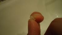 Прикрепленное изображение: DSC03440.JPG