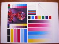 Прикрепленное изображение: DSCN5373.JPG