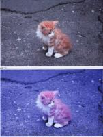 Прикрепленное изображение: img556.jpg