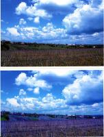 Прикрепленное изображение: img550.jpg