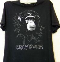 Прикрепленное изображение: only music.jpg