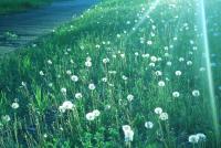 Прикрепленное изображение: IMG1927_postRAW_small.jpg