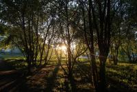 Прикрепленное изображение: IMG_1936_small.jpg