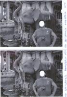 Прикрепленное изображение: img183.jpg