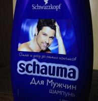 Прикрепленное изображение: sch.jpg