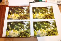 Прикрепленное изображение: L800+E82_Lomond_Glossy230_left_DEXP_Glossy230_right_general_color_correction_up_D50_down.jpg