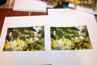 Прикрепленное изображение: L800+E82_Lomond_Glossy230_left_DEXP_Glossy230_right_D50_for_Lomond_Glossy230.jpg
