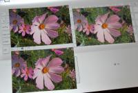 Прикрепленное изображение: IMG_3793.jpg