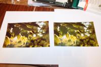 Прикрепленное изображение: L800+E82_Lomond_Glossy230_left_DEXP_Glossy230_right_color_correction_standart.jpg