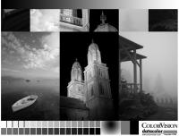 Прикрепленное изображение: ColorVisionB&WTestImage.jpg