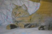 Прикрепленное изображение: DSC_2421.JPG