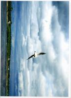 Прикрепленное изображение: img001.jpg