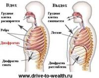 Прикрепленное изображение: image.jpg