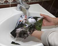 Прикрепленное изображение: 00124.jpg