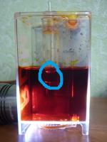 Прикрепленное изображение: P1010780.JPG