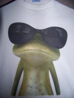 Прикрепленное изображение: frog.jpg