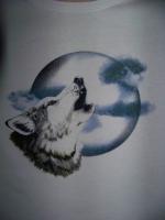 Прикрепленное изображение: volf moon.jpg