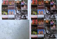 Прикрепленное изображение: DSCF4114______.jpg