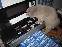 Прикрепленное изображение: IMG_08032.jpg