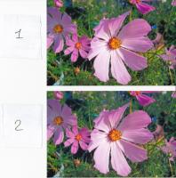 Прикрепленное изображение: image_0018_small.jpg