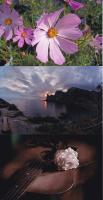 Прикрепленное изображение: image_0026_small.jpg