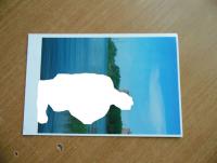 Прикрепленное изображение: DSC01653.JPG