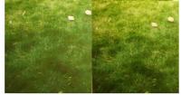 Прикрепленное изображение: contrast_issue2.jpg