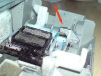 Прикрепленное изображение: DSC01130______.jpg
