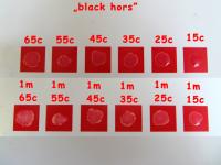Прикрепленное изображение: black hors_all(no_flash).jpg