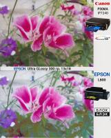  : Chromalife100_vs_Block_Black_EPSON_UltraGlossy_small.jpg