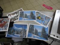 Прикрепленное изображение: DSC04200.JPG
