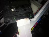 Прикрепленное изображение: IMG_2007.JPG