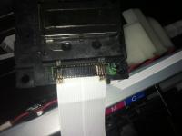 Прикрепленное изображение: IMG_2009.JPG