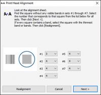 Прикрепленное изображение: driver_print_head_align_xp2101.jpg